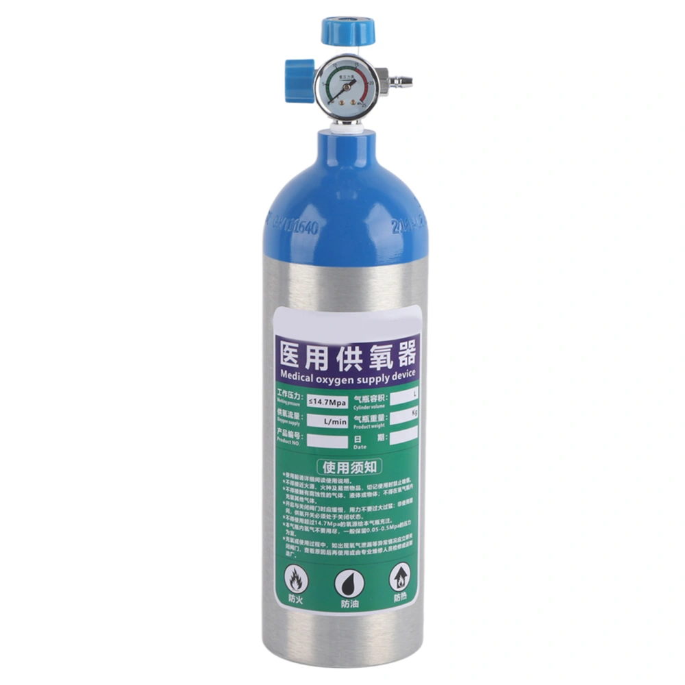 2L Household Portable Oxygen Cylinder Elderly Patient Oxygen Bottle Tank for Health Care2L Single Bottle