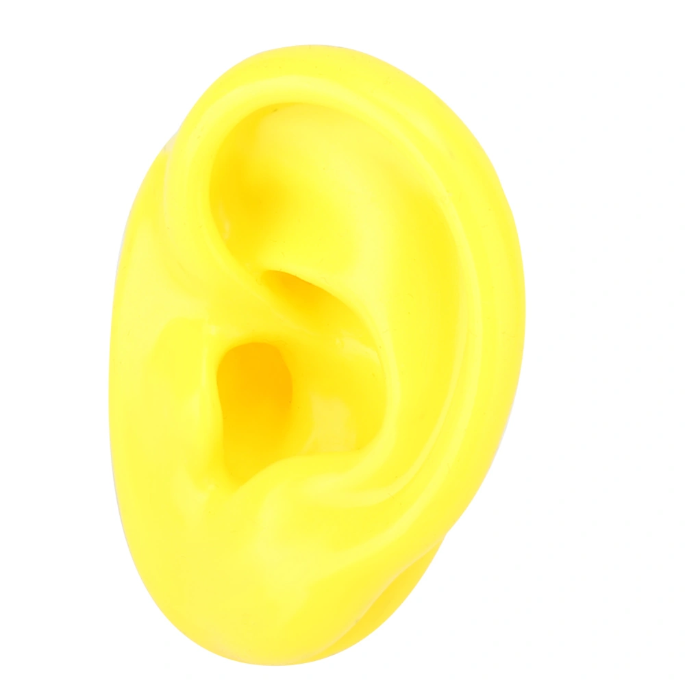 Soft Silicone Simulation Left Human Ear Model Ear Display Teaching Aid Model Yellow