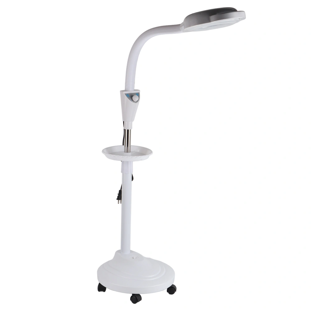 LED Cold Light Height Adjustable 8X Magnifying Stand Lamp Tattoo Beauty Light Salon Use US Plug 110V