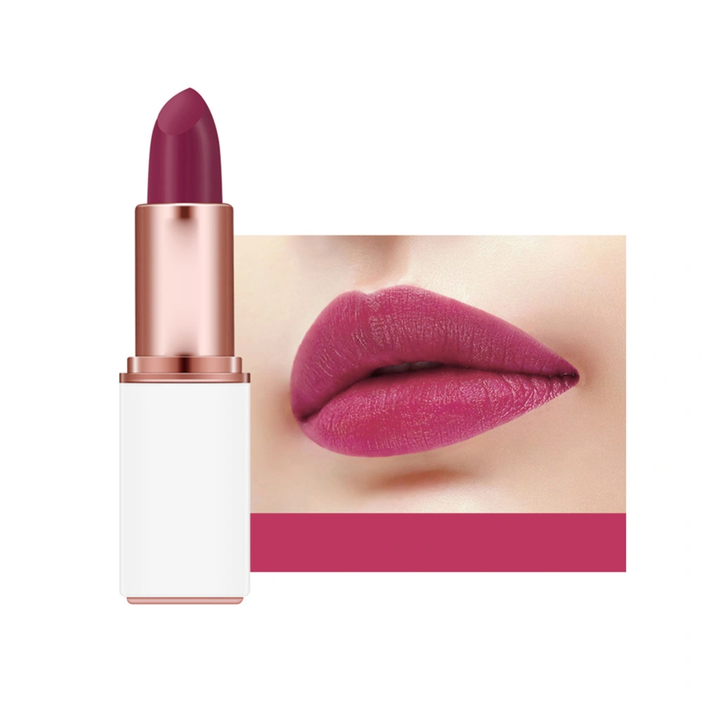 Matte Velvet Moisturizing Lipstick Long Lasting Exquisite Lip Gloss Makeup Tool (#04)