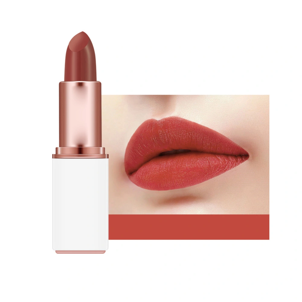 Matte Velvet Moisturizing Lipstick Long Lasting Exquisite Lip Gloss Makeup Tool (#12)