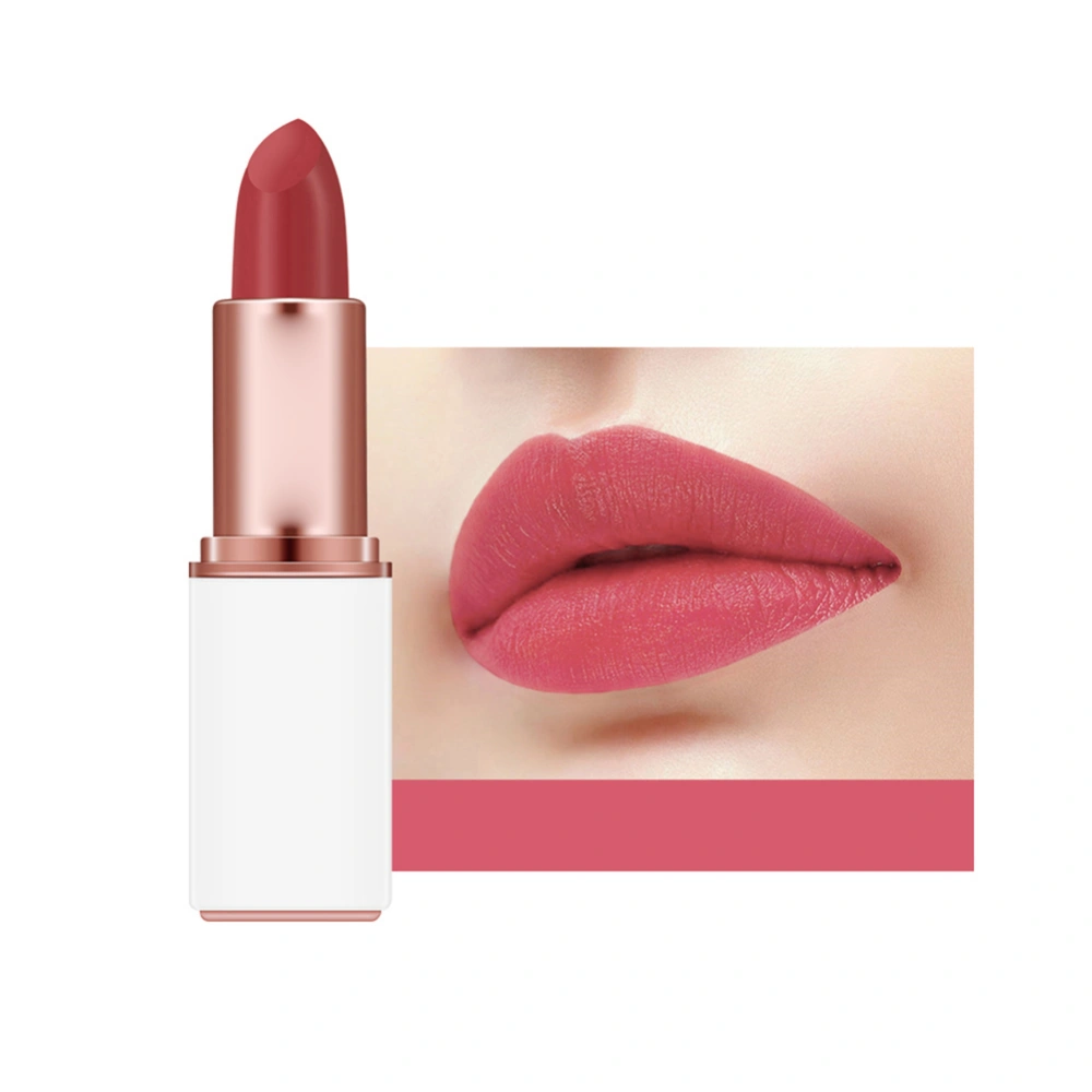 Matte Velvet Moisturizing Lipstick Long Lasting Exquisite Lip Gloss Makeup Tool (#02)