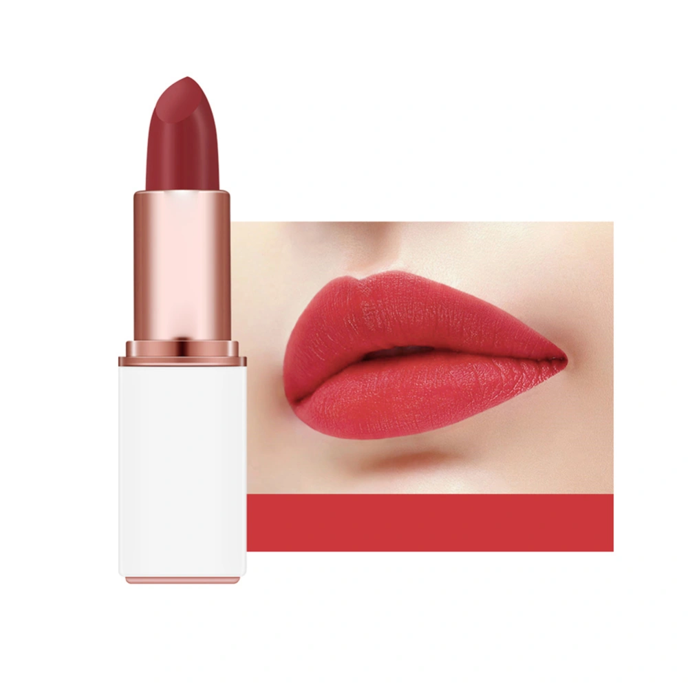 Matte Velvet Moisturizing Lipstick Long Lasting Exquisite Lip Gloss Makeup Tool (#06)