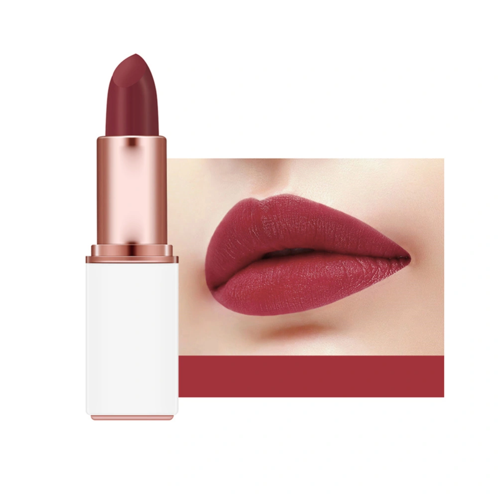 Matte Velvet Moisturizing Lipstick Long Lasting Exquisite Lip Gloss Makeup Tool (#09)