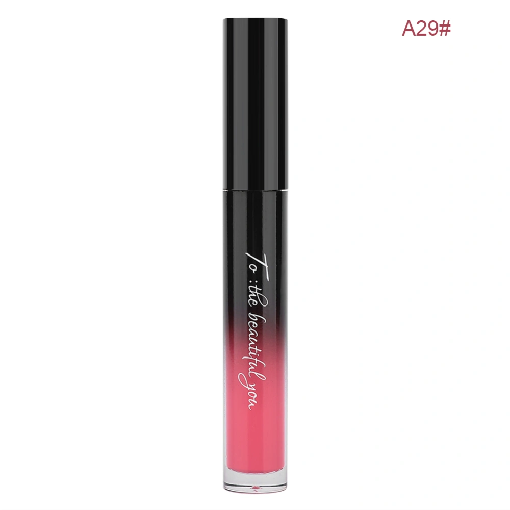 4.5g Liquid Lipstick Long Lasting Hydrating Moisture Lipsticks Lip Glaze (A29)