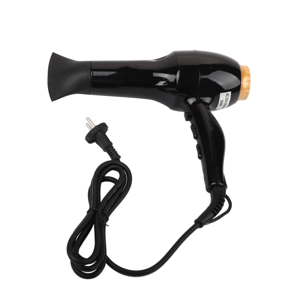 Powerful Constant Temperature Hair Dryer Low Noise Fast Styling Hairdryer EU Plug 220V