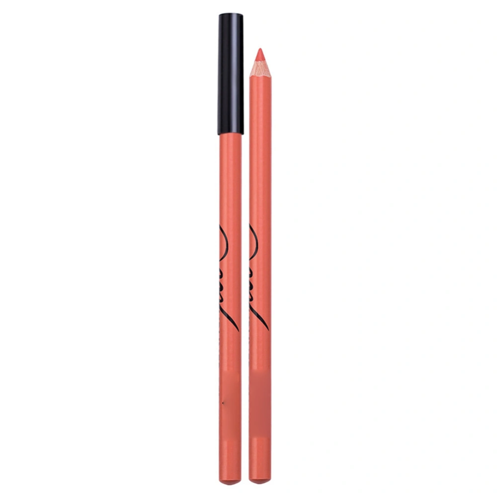 Waterproof Lipstick Long Lasting Pencil Lip Gloss Lip Liner Stick Eyeliner Makeup Tool #04