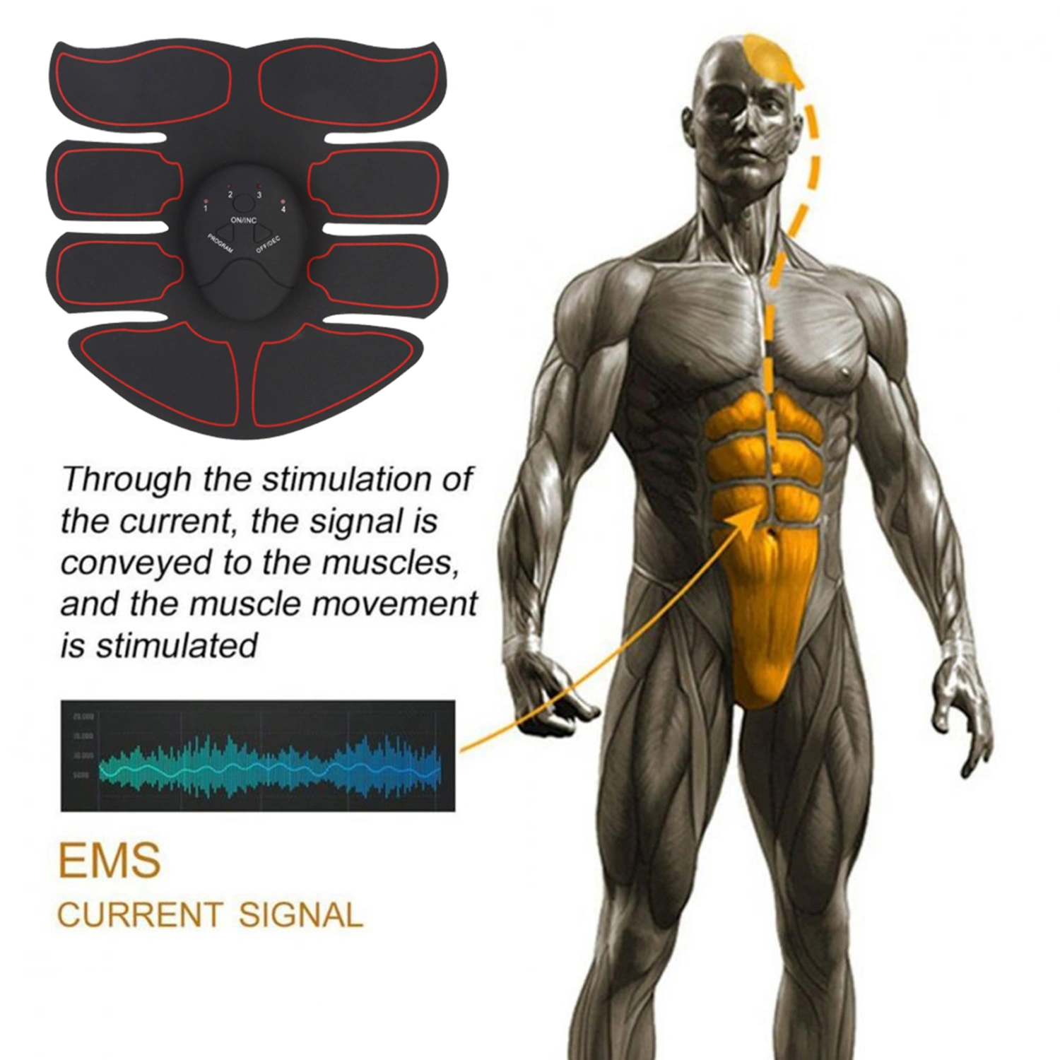 EMS Intelligent Training Patch (1 Abdomen 1 Main) (Black Red)