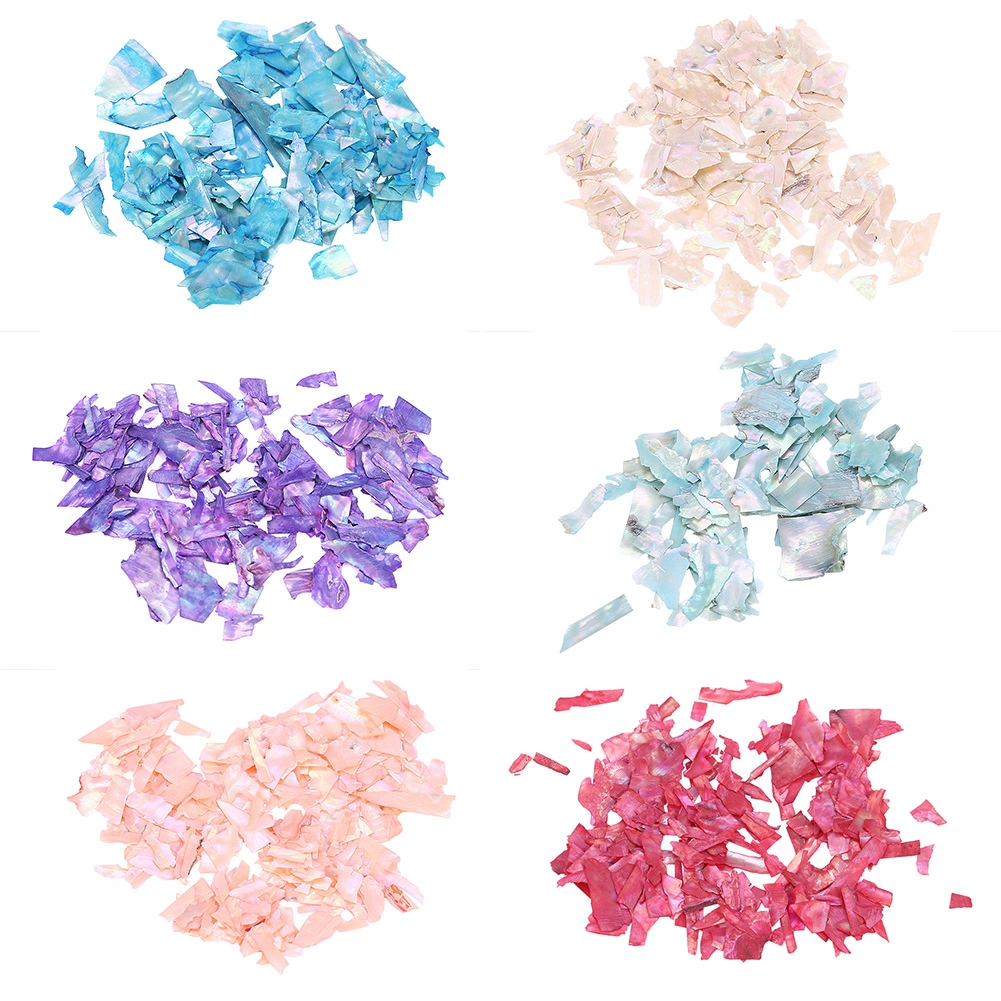6 Boxes Shell Piece 3D Nail Art Decoration Nail DIY Slice Beauty Nail Decals Manicure Tools