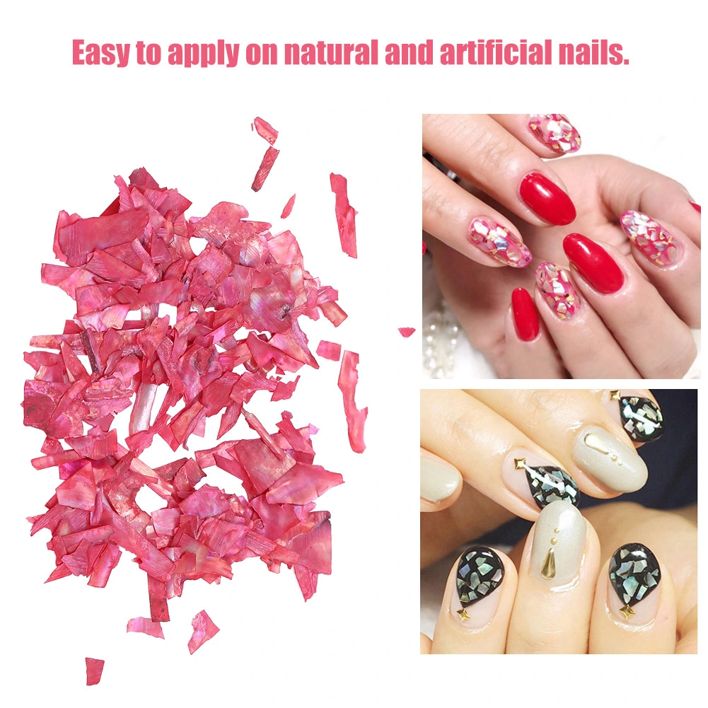 6 Boxes Shell Piece 3D Nail Art Decoration Nail DIY Slice Beauty Nail Decals Manicure Tools