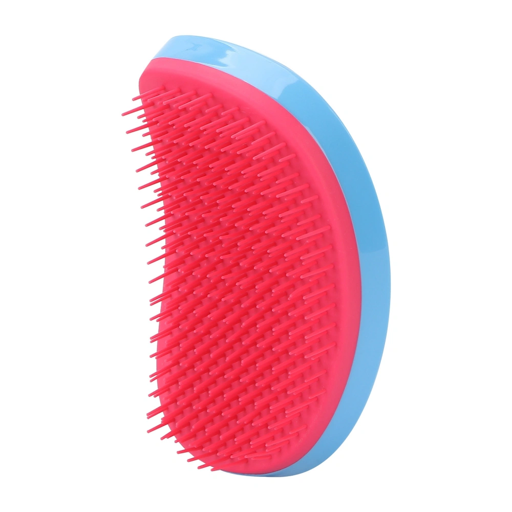 Detangling Hairbrush Professional Home Detangler Hair Brush Comb for Curly HairBlue