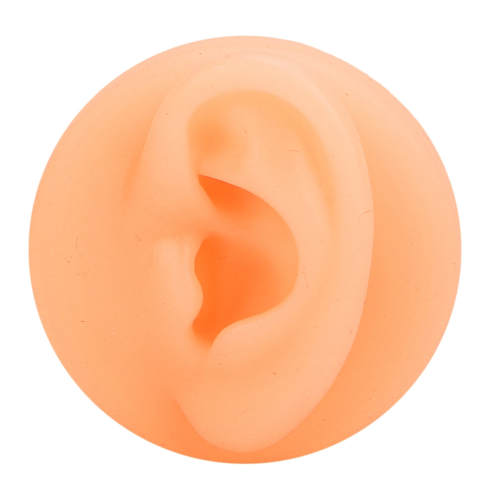 Silicone Ear Acupuncture Practice Model Reusable Simulation Ear Display Model False Ear ModelLeft Ear