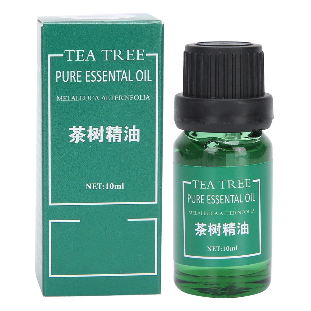 10ml Massage Essential Oil Home Fragrance Aromatherapy Essential Oil for Air Humidifier