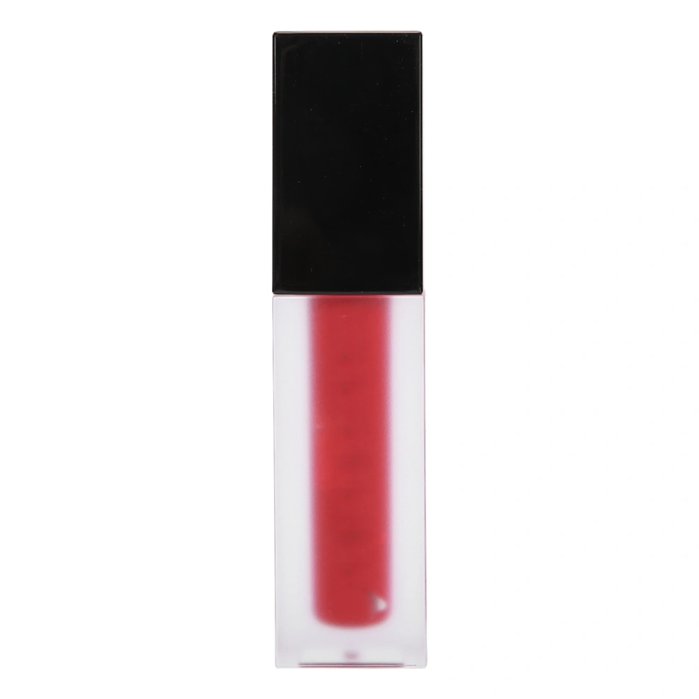 STAGENIUS Matte Lip Gloss Unfading Waterproof Lip Makeup Cosmetic Lip Gloss 01