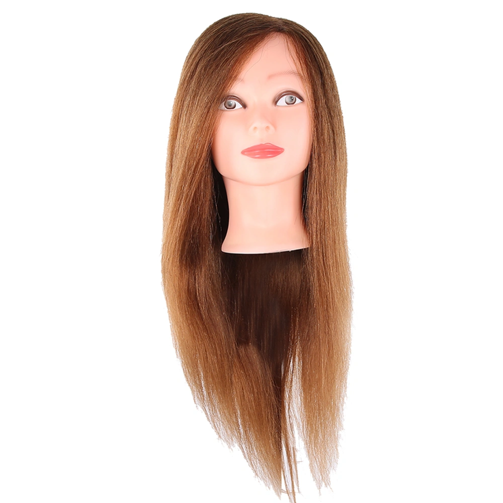 Hairdressing Mannequin Head Human Hair Practice Training Cosmetology Manikin HeadBrown