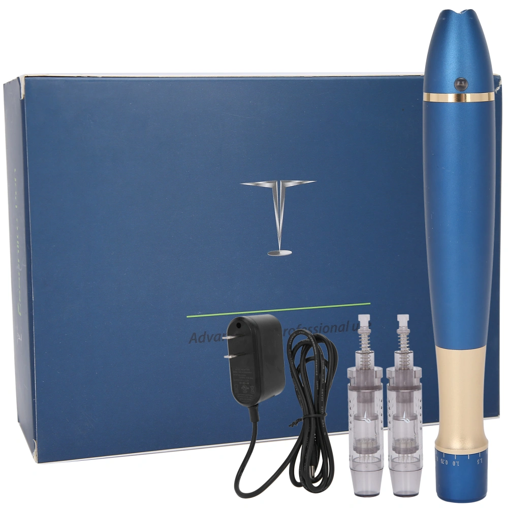 Q1 Professional Microneedling Pen Rechargeable MTS Injection Electric Derma Machine 100‑240V Prise US