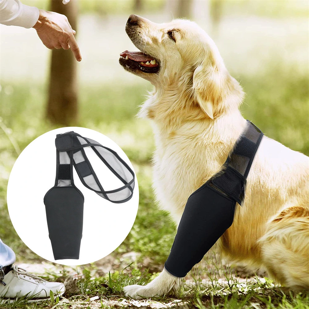 Dog Leg Injury Support Knee Pad