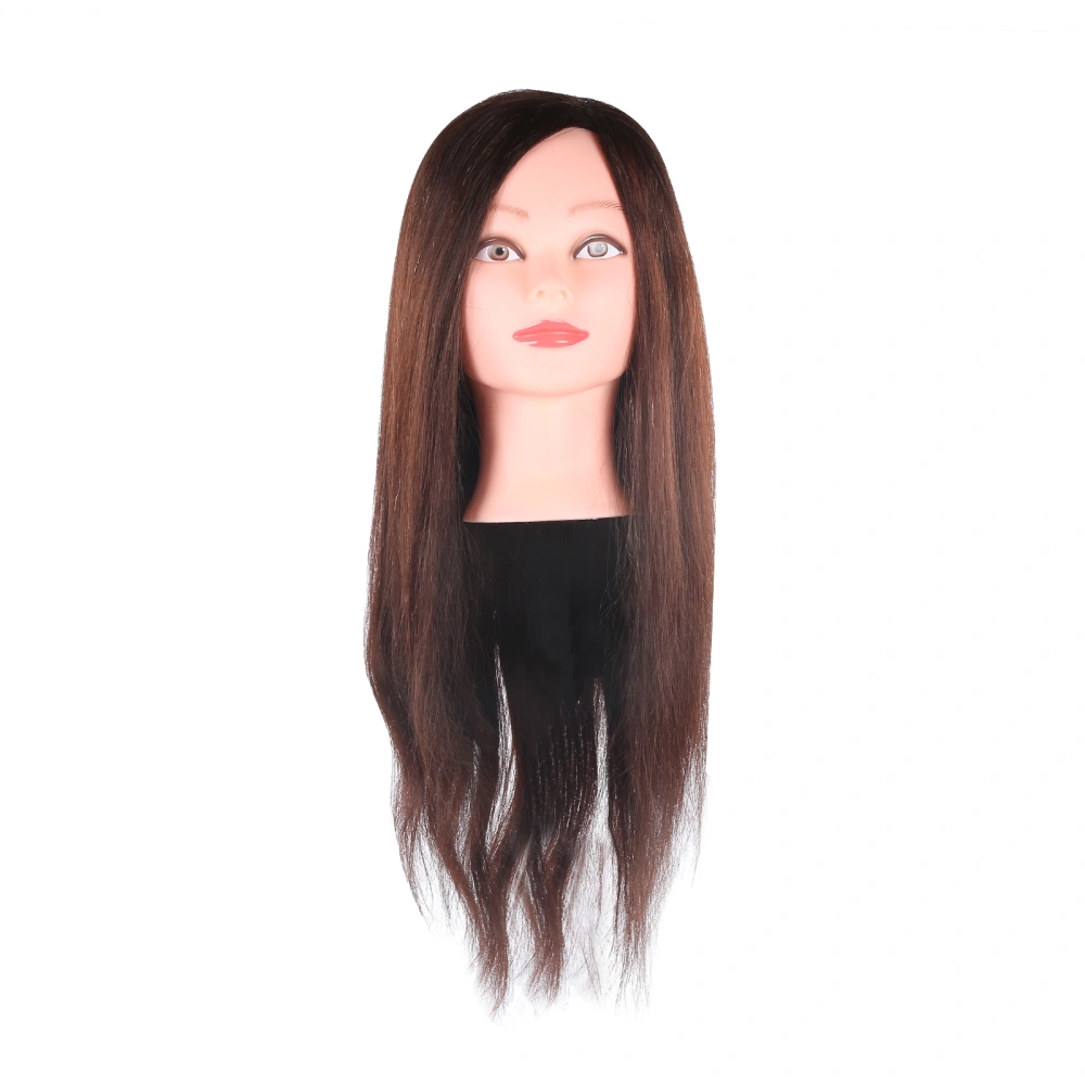 Hairdresser Training Head Practice Mannequin Head Cosmetology Manikin Head with Hair