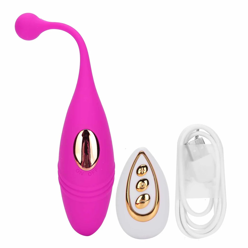 10 Modes Adult Vibrating Massager USB Charging Wireless Control Vibrator for WomenPurple