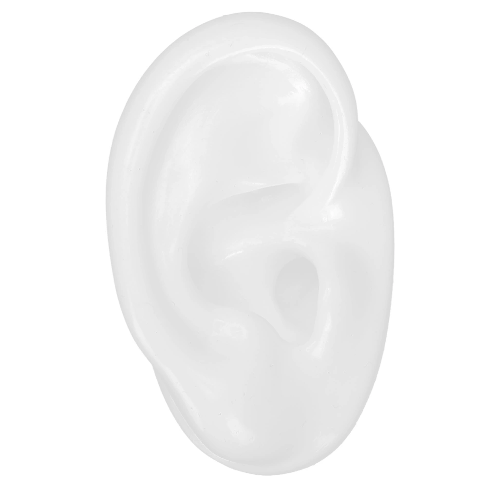 Silicone Ear Model Simulation Artificial Ear Display Model for Hearing Aids WearingRight Ear