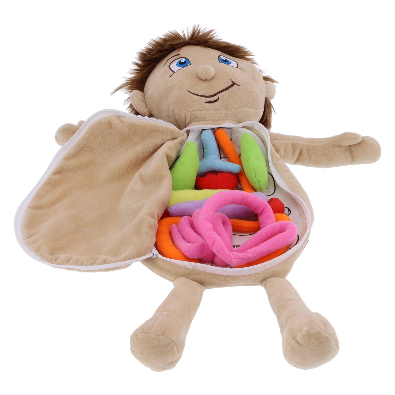 Anatomy Learning Doll Human Body Organs Physiological Educational Toy Preschool Teaching AidsBoy