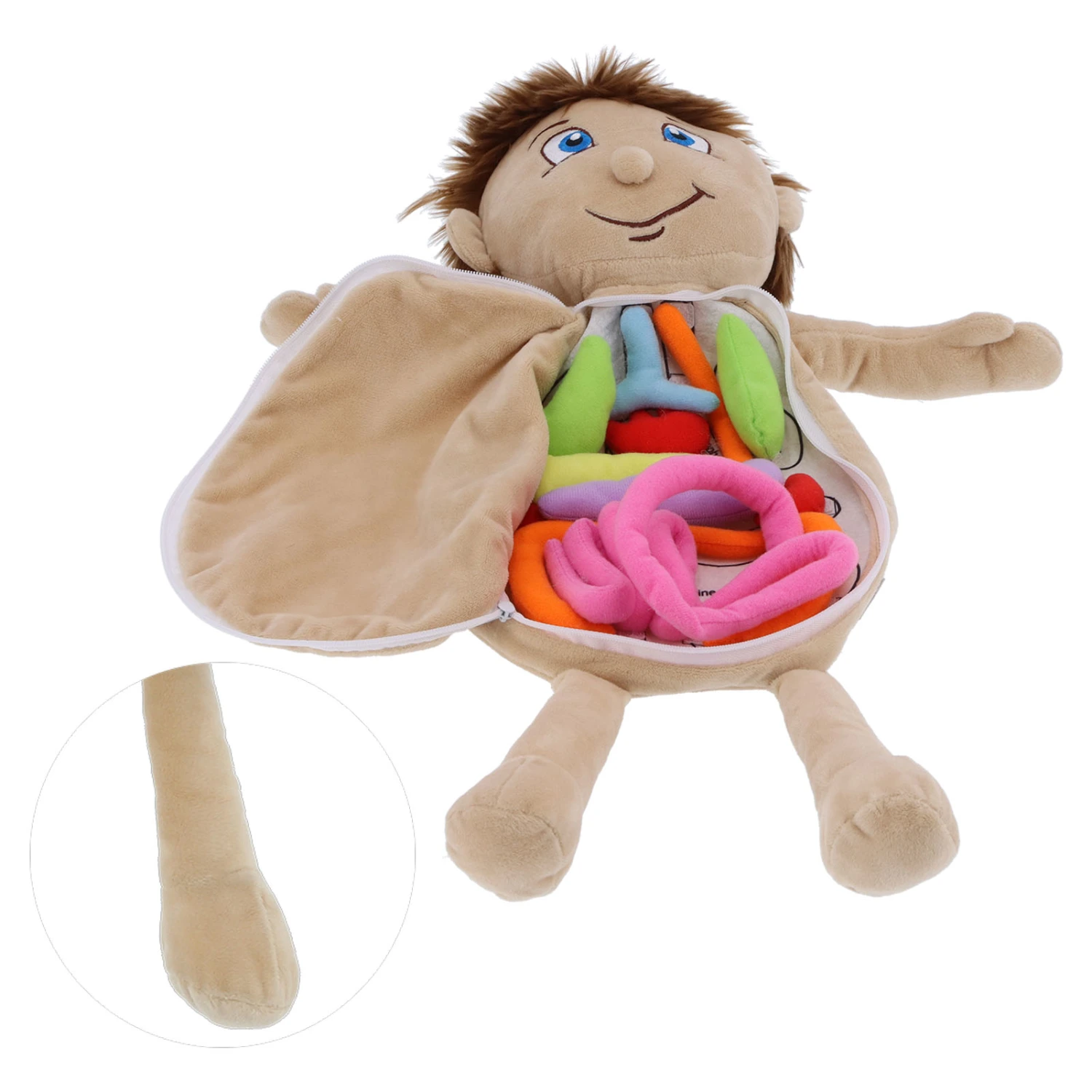 Anatomy Learning Doll Human Body Organs Physiological Educational Toy Preschool Teaching AidsBoy