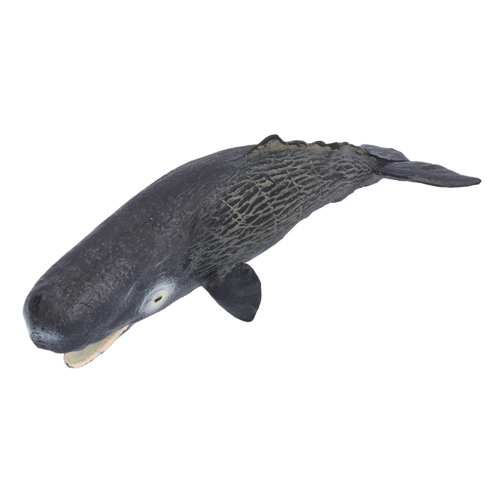 Realistic Sperm Whale Replica Simulated Marine Animal Model Educational Collector Toy