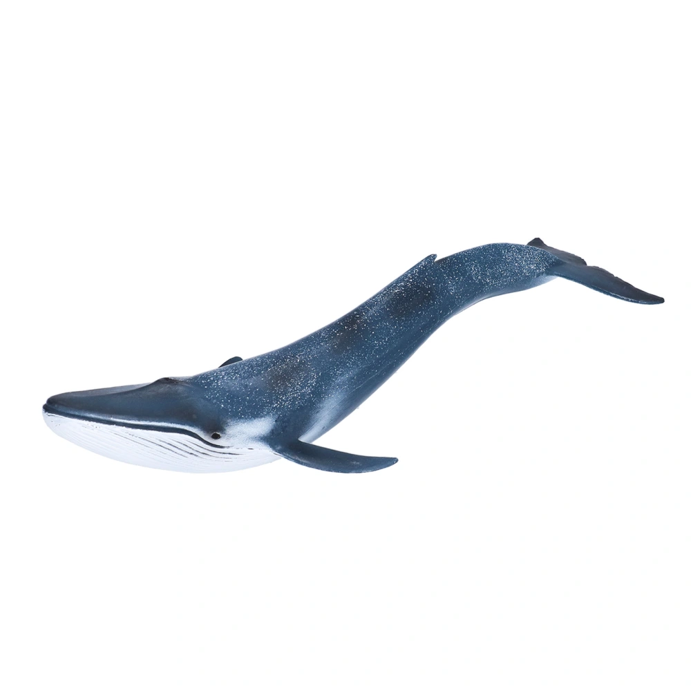 Blue Whale Figure Toy Educational Mini Ocean Animal Marine Figurine Model for Kids