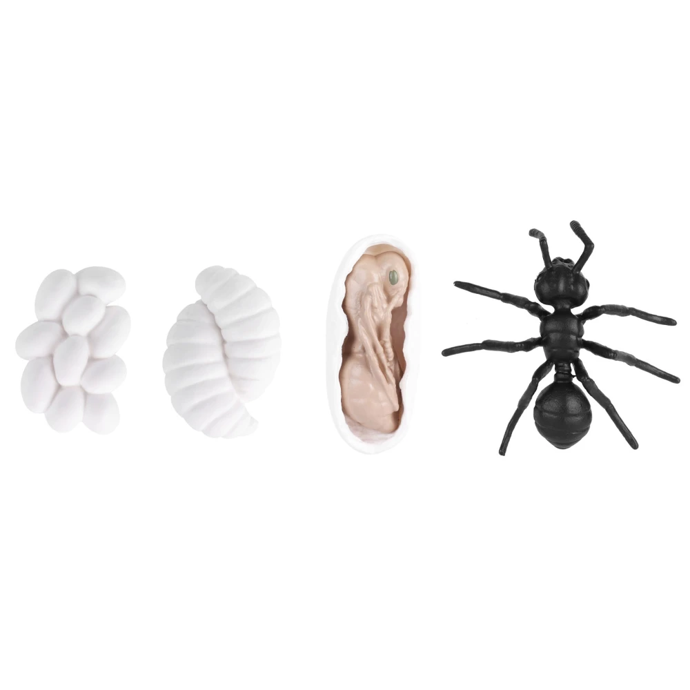 Insect Life Cycle Figurines Vinyl Ant Growth Model Toy Educational Mosquito Life CycleM4183 Ants (50.5g)