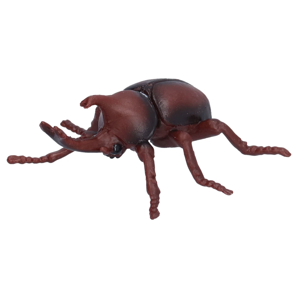 Realistic Beetle Insect Model Plastic Beetle Figure Toy Kid's Educational Insect Model Props