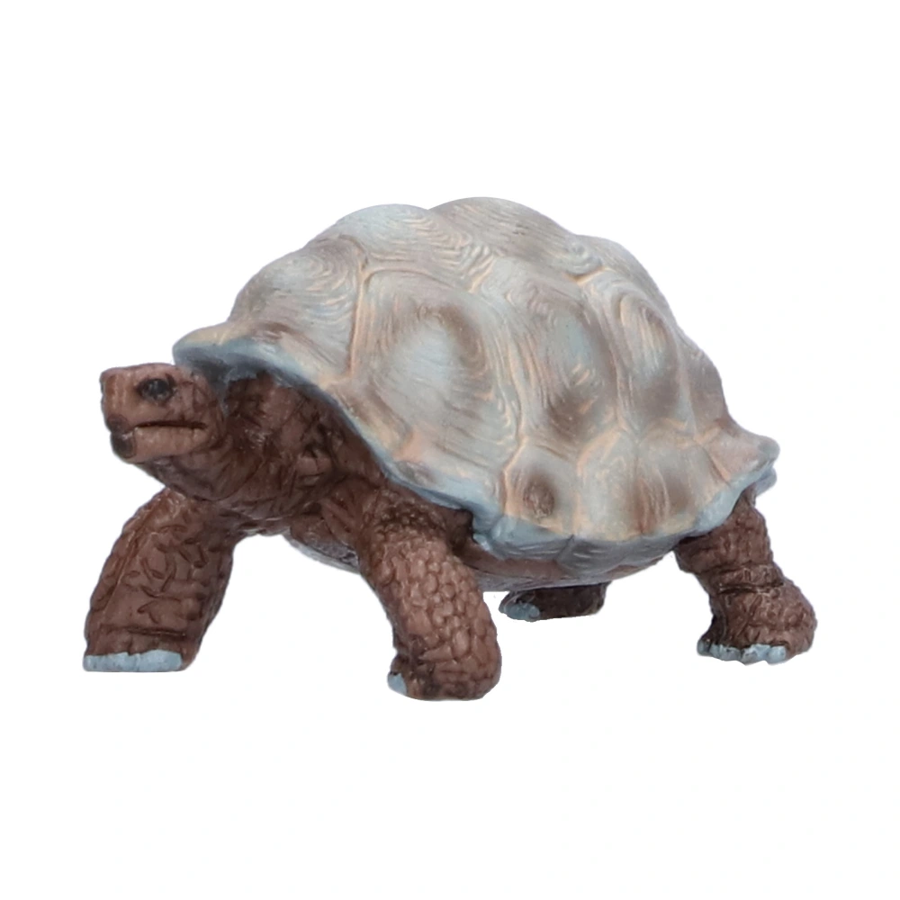 Tortoise Turtle Model Figures Wild Animal Figurines Educational Toy for Kids Toddlers