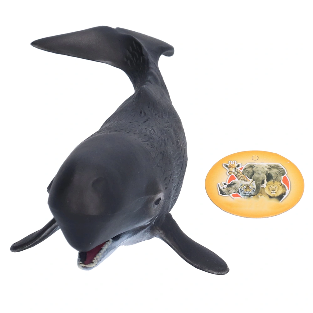 Whales Figurine Model Highly Simulation Educational Learning Desktop Decoration Toy