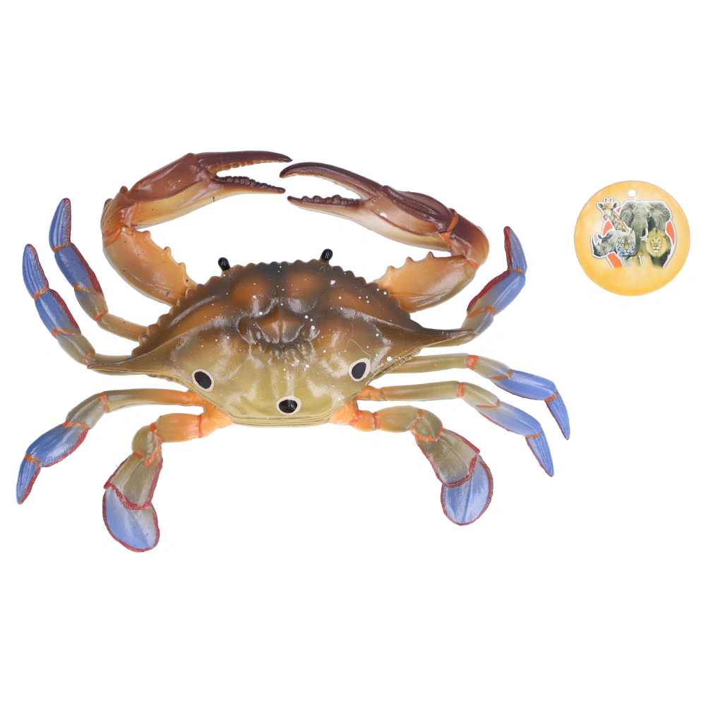 Crab Marine Animal Model Figure Ocean Model Toy Educational Animal Toys for KidsPL127-1298