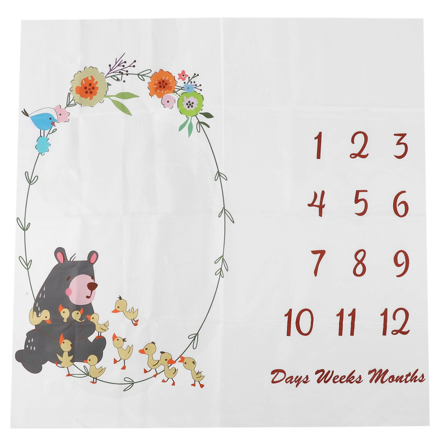 Monthly Milestone Blanket Record Growth Newborn Photography Background Play Mat