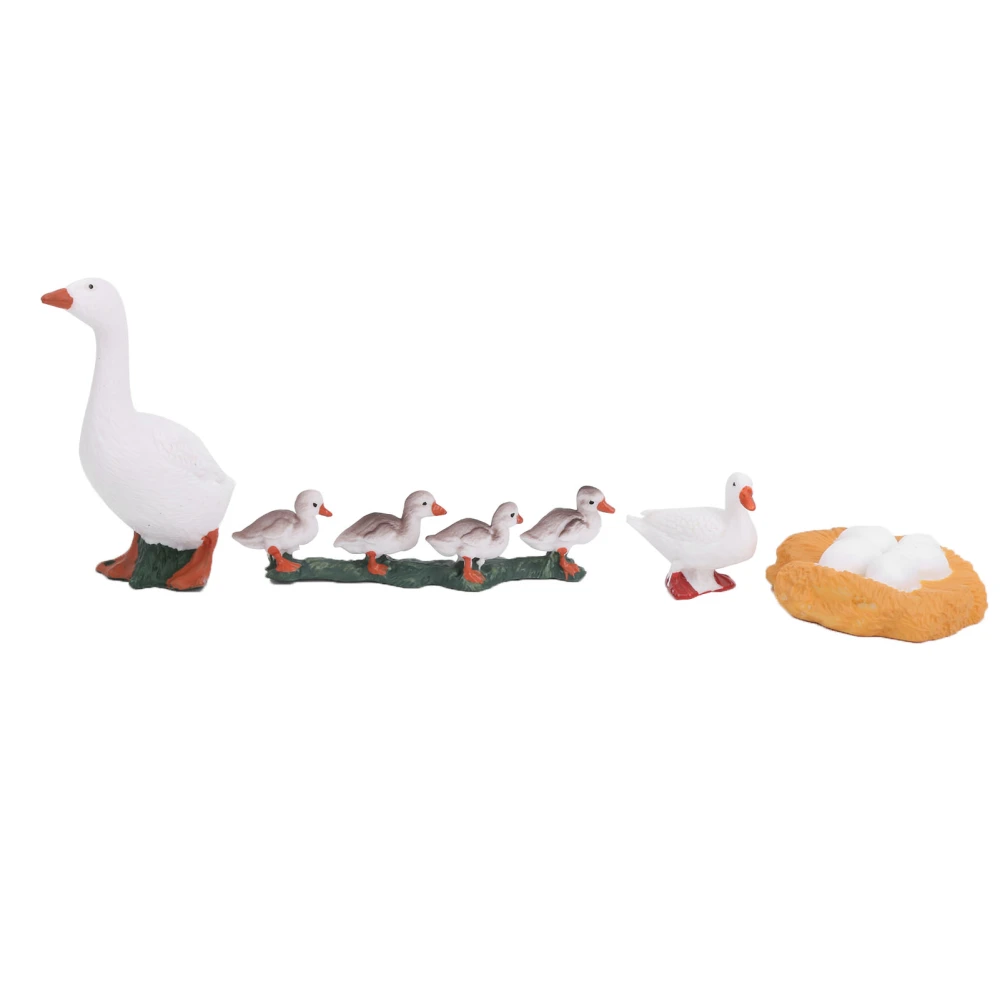 4 Stage Growth Cycle Model Animal Duck Life Cycle Models Children Educational ToyA