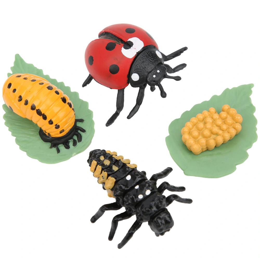 Highly Simulation Insect Model Toy Educational Children Kid Ladybug Model Toy GiftLadybug