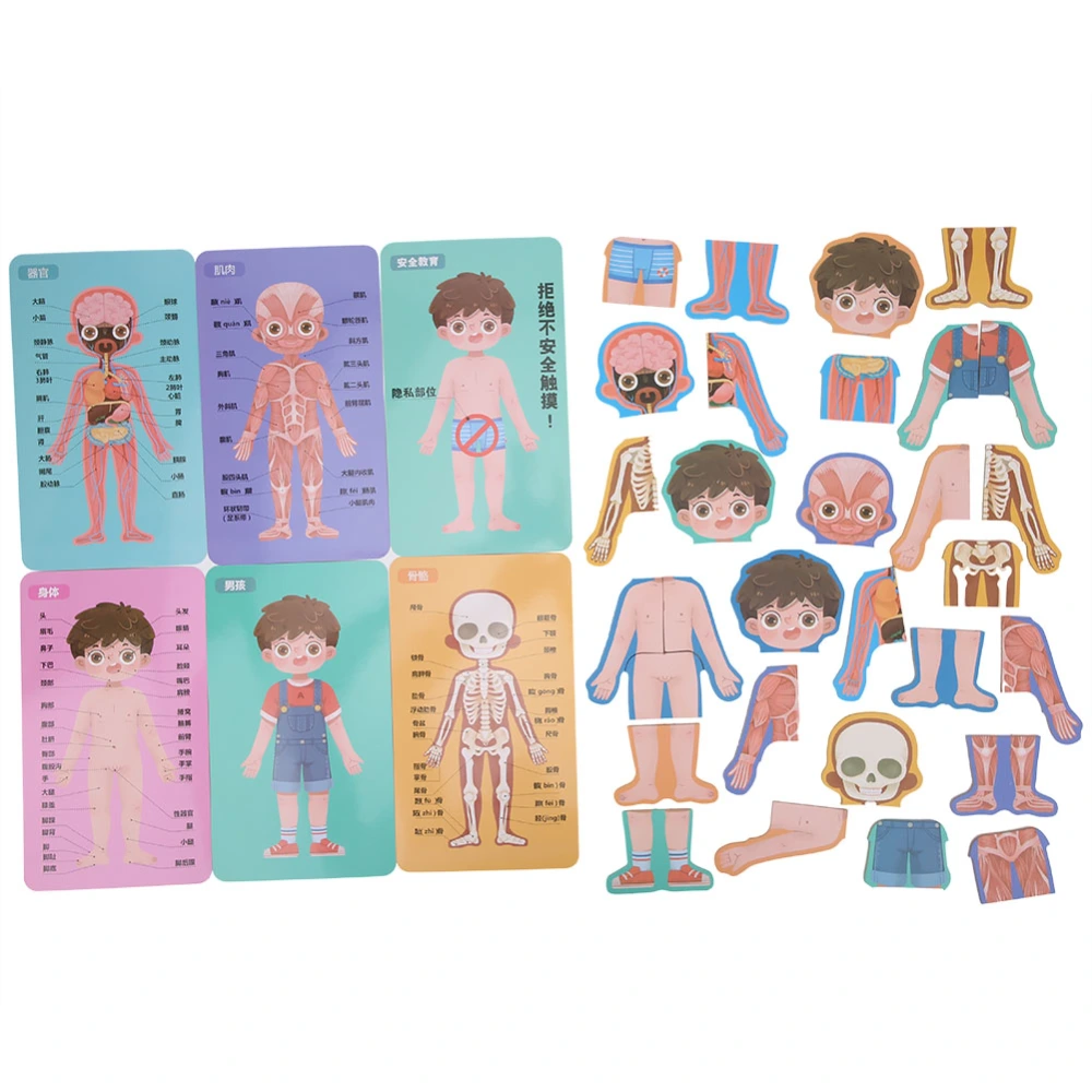 Children Wooden Human Body Organ Structure Cognition Puzzle Jigsaw Toy Educational ToysBoy Body Structure Puzzle