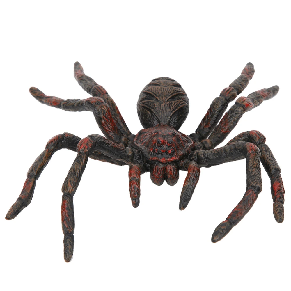 Simulation Insect Model Halloween Children Wild Animal Figurine Educational Toy DecorationPL127‑846