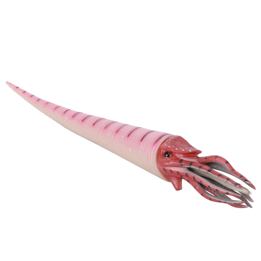 Simulation Orthoceras Model Ornaments Desktop Decoration Ornament Children Toy(PL127‑1526 )