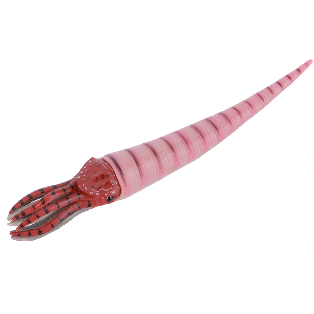 Simulation Orthoceras Model Ornaments Desktop Decoration Ornament Children Toy(PL127‑1526 )