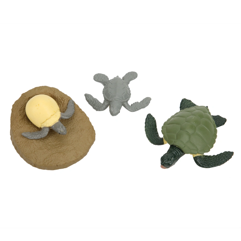 Turtles Growth Cycle Model Children Miniature Simulation Animal Early Education Statue Toy