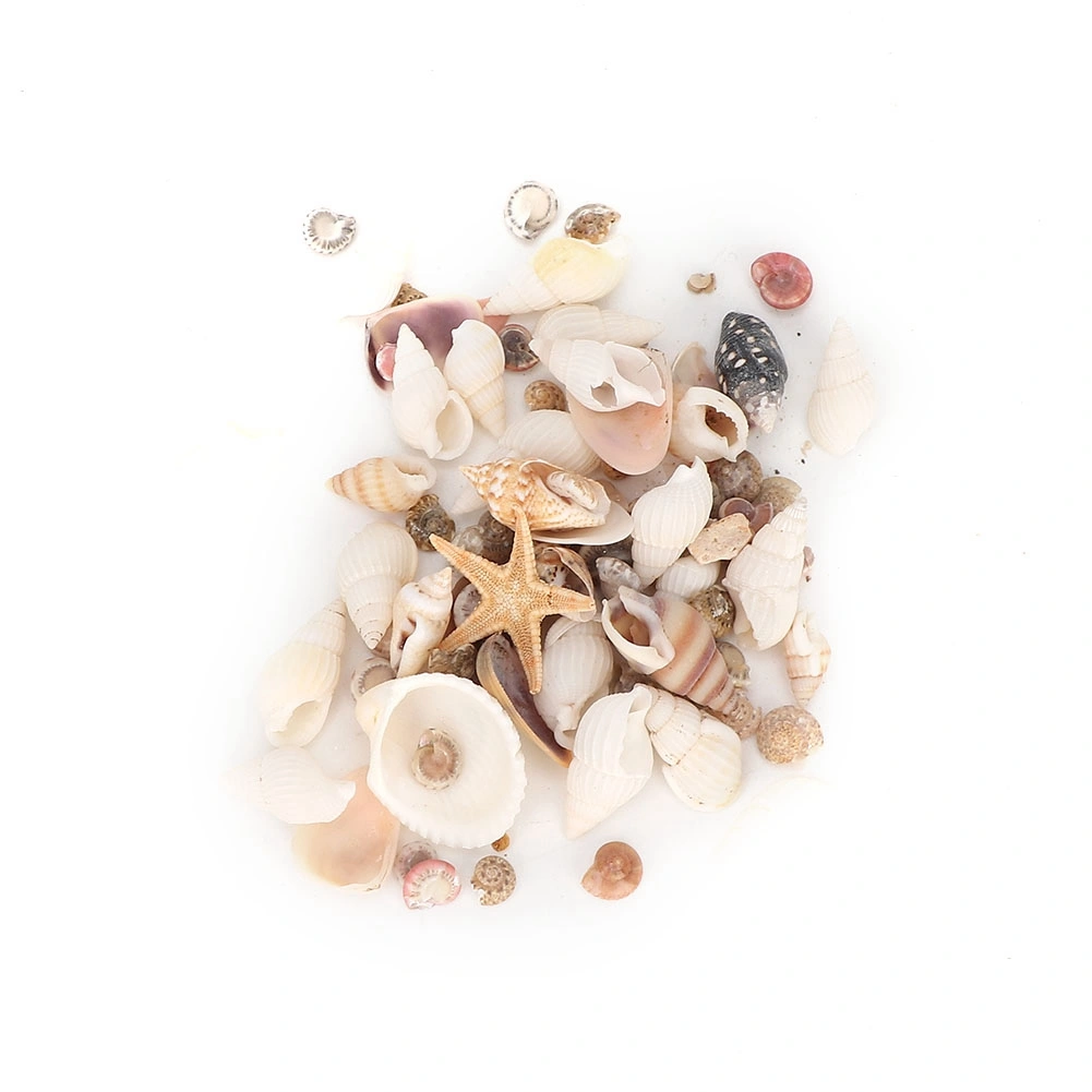 Mini Cute Seashell Starfish Conch Ocean Pendants DIY Crafts Making Jewelry Decoration