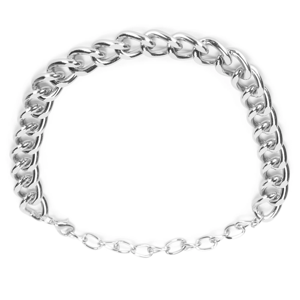 Metal Thick Chain Necklace Simple Fashionable Unique Short Necklace Jewelry GiftSilver