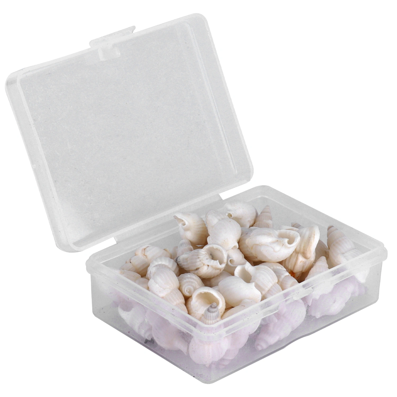 Natural Shells Sea Snail Jewelry Craft DIY Conch Home Wedding Decorations Ornament