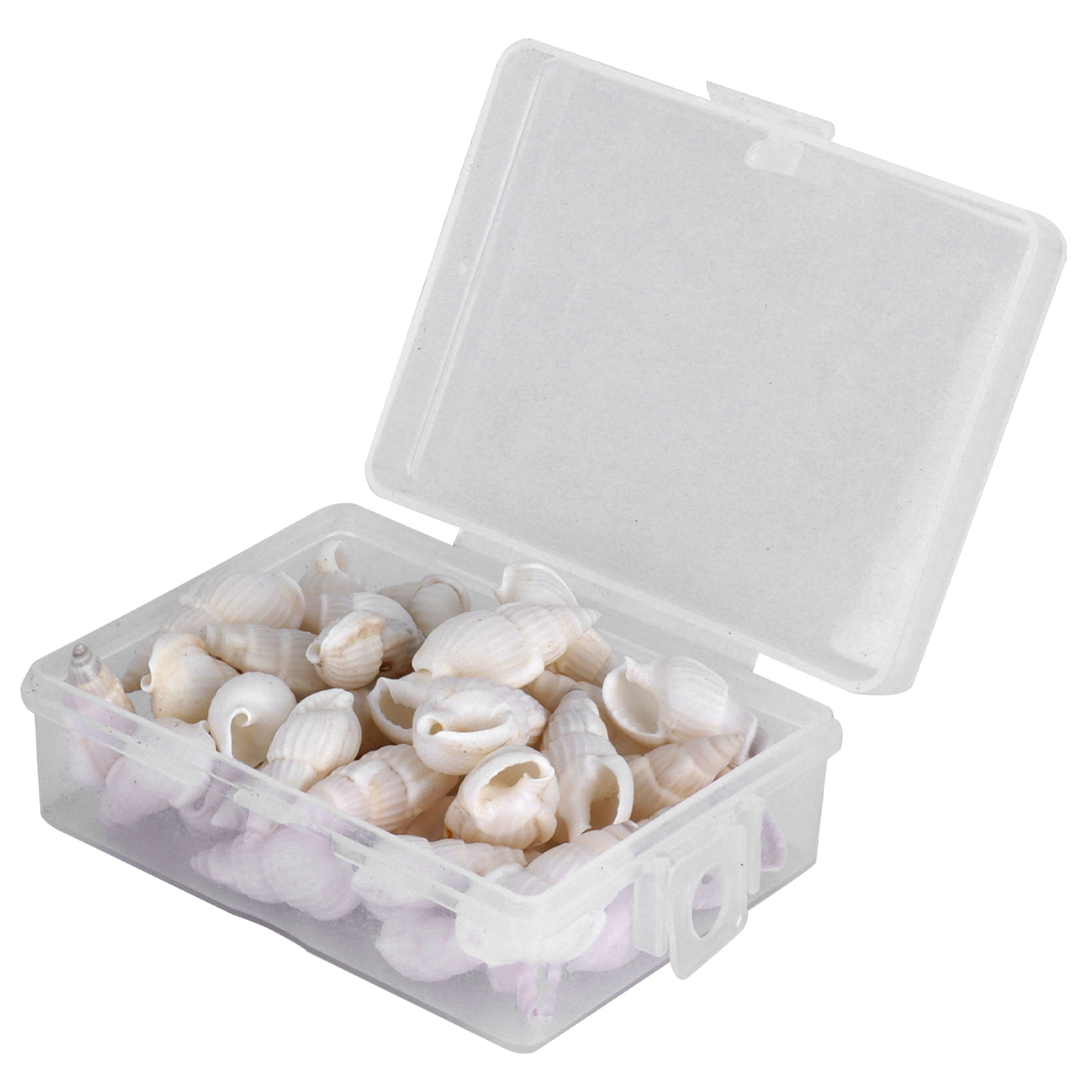Natural Shells Sea Snail Jewelry Craft DIY Conch Home Wedding Decorations Ornament