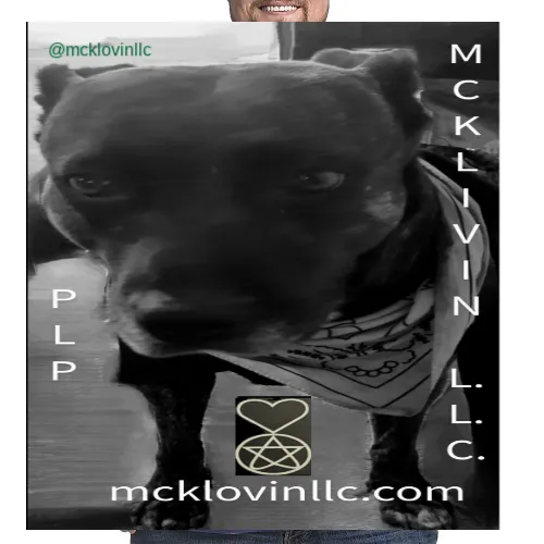 Mcklovin LLC PLP TShirt XL-6XL