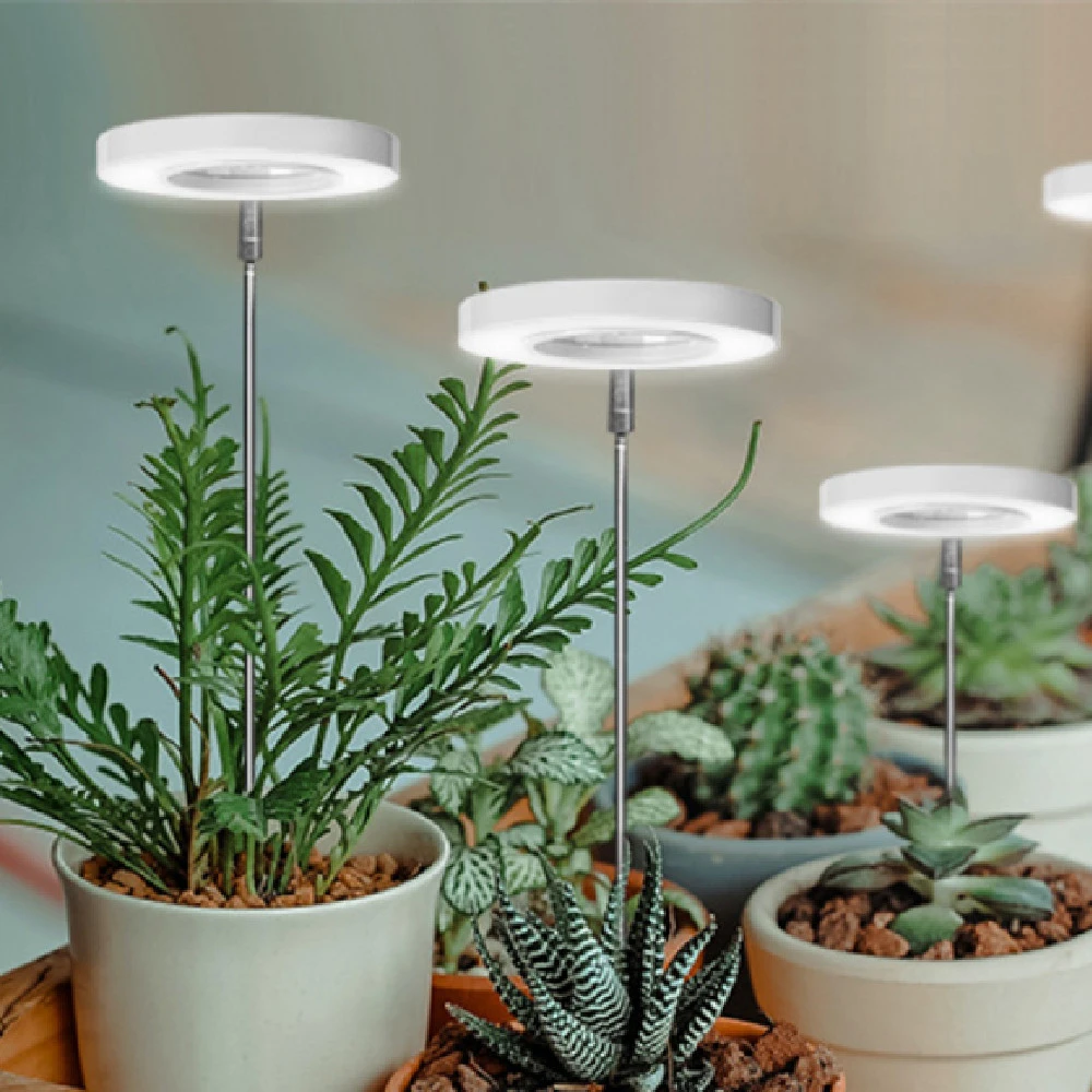 USB Angel Ring Plant Lamp Timing Dimming Height