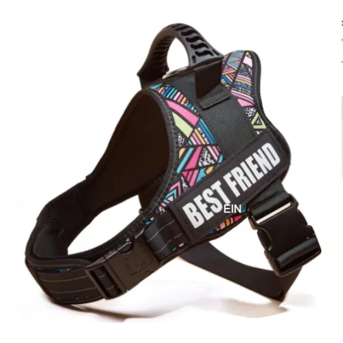 Personalised Dog Harness