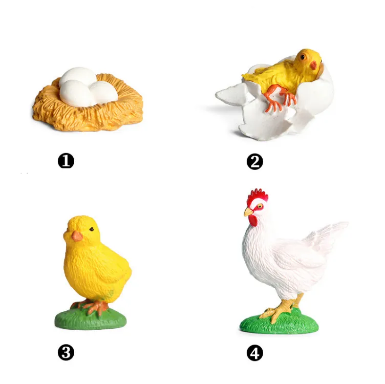 Mini Simulation Animal Model Growth Cycle Toy