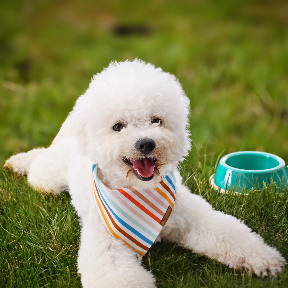 Pet Dog Striped Design Saliva Towel